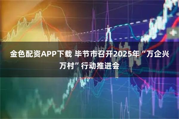 金色配资APP下载 毕节市召开2025年“万企兴万村”行动推进会