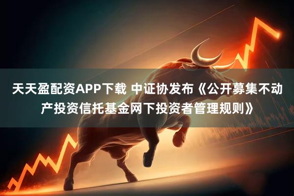 天天盈配资APP下载 中证协发布《公开募集不动产投资信托基金网下投资者管理规则》
