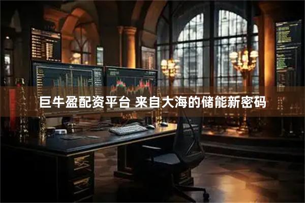 巨牛盈配资平台 来自大海的储能新密码